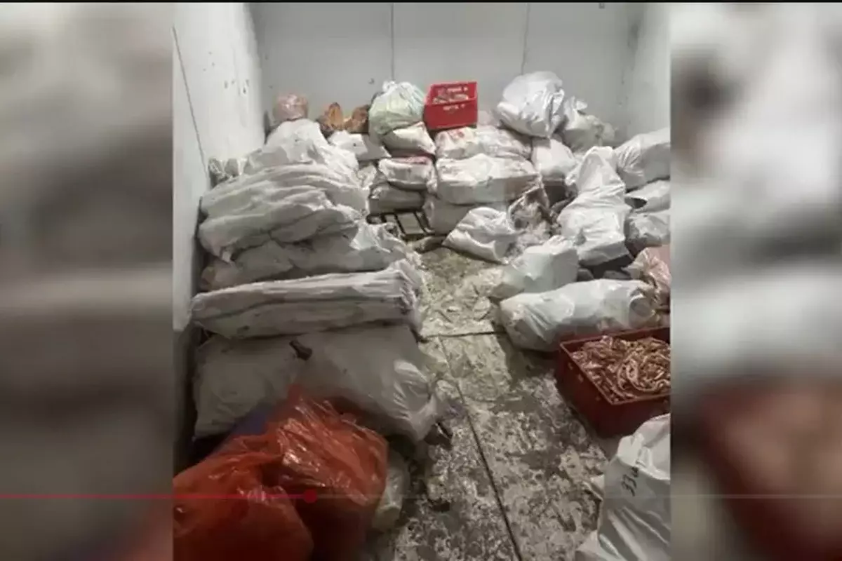Три тонны мяса и 42 туши изъяли в подпольном цехе в Астане