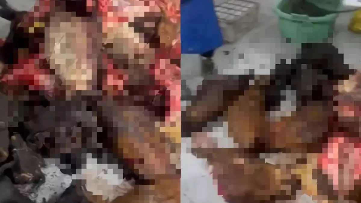 Антисанитария и тонны мяса: подпольный цех обнаружен в Астане