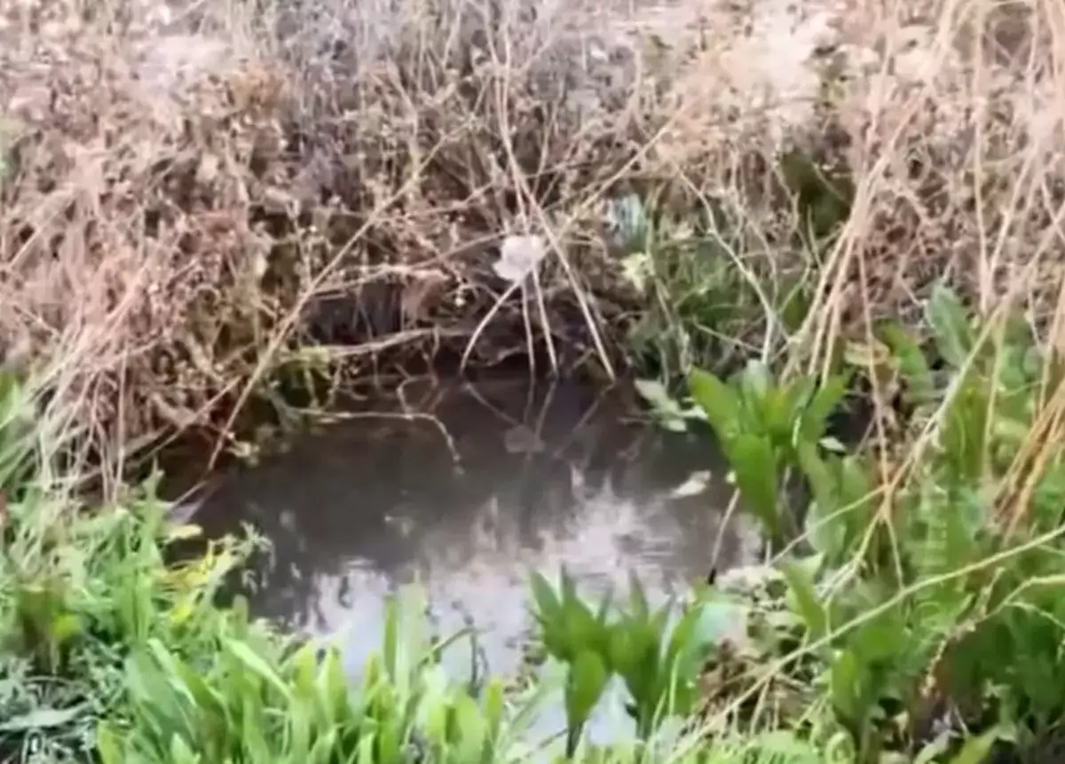 Кто и что опять сливает в море в Актау - новости на Lada.kz 17.11.2025