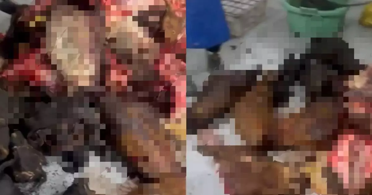   Астанада заңсыз түрде жұмыс істеген цехтан 180 қап ет тәркіленді   