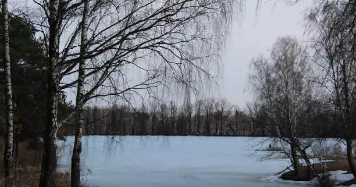  Көкшетауда мұз астына түскен үш баланы құтқарып қалған ер адам марапатталды 