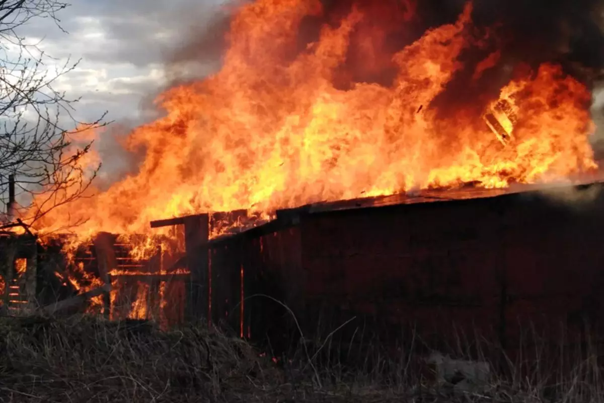 Семейный праздник обернулся трагедией: 12 жизней унес пожар в Туркестанской области