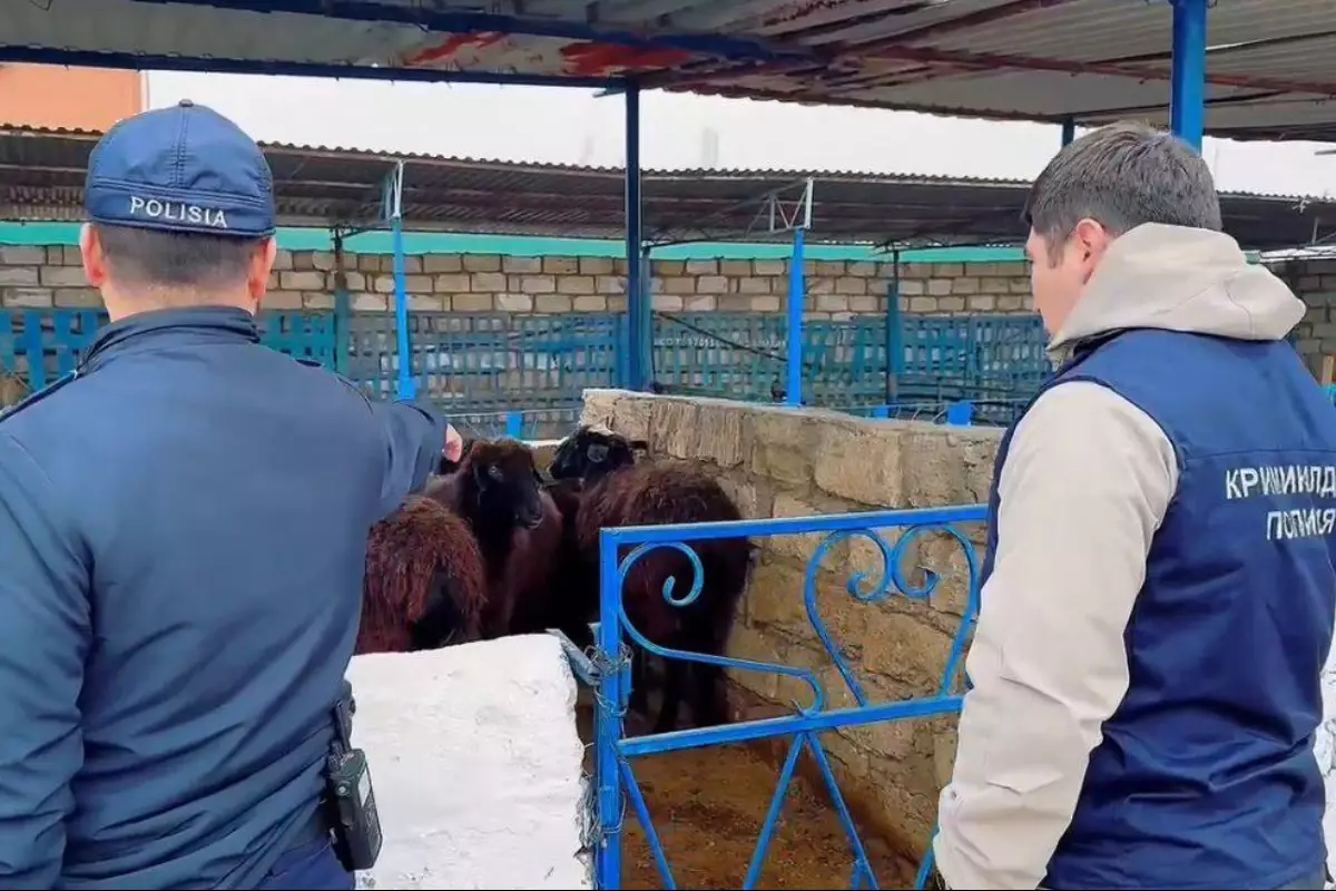 В Атырау стартовала операция против скотокрадов: проверки на базарах