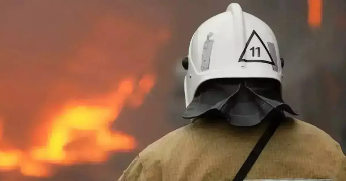  Түркістан облысындағы 12 адамның қазасы: тың дерек шықты 