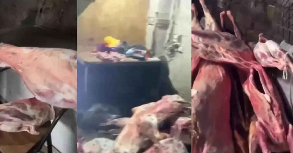  Ет алғанда сақ болыңыздар: заңсыз жұмыс істеген цехтан 3 тонна ет табылды 