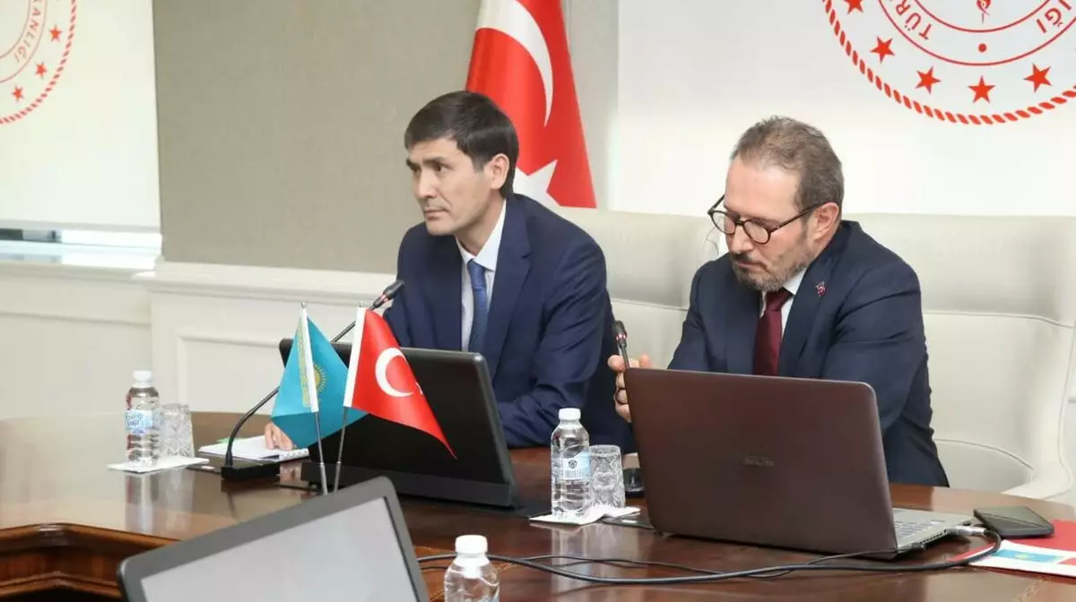 Казахстан и Турция готовят соглашение по цифровизации медицины