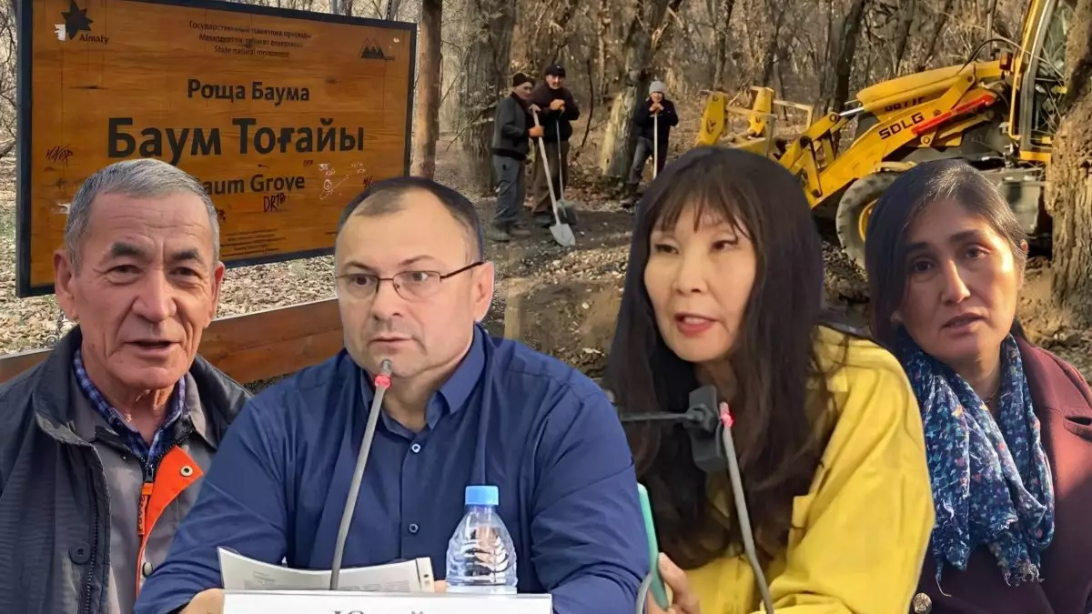 «10 мың ағаш отала ма?». Алматыдағы «Баум тоғайының» тағдыры қалай болмақ?