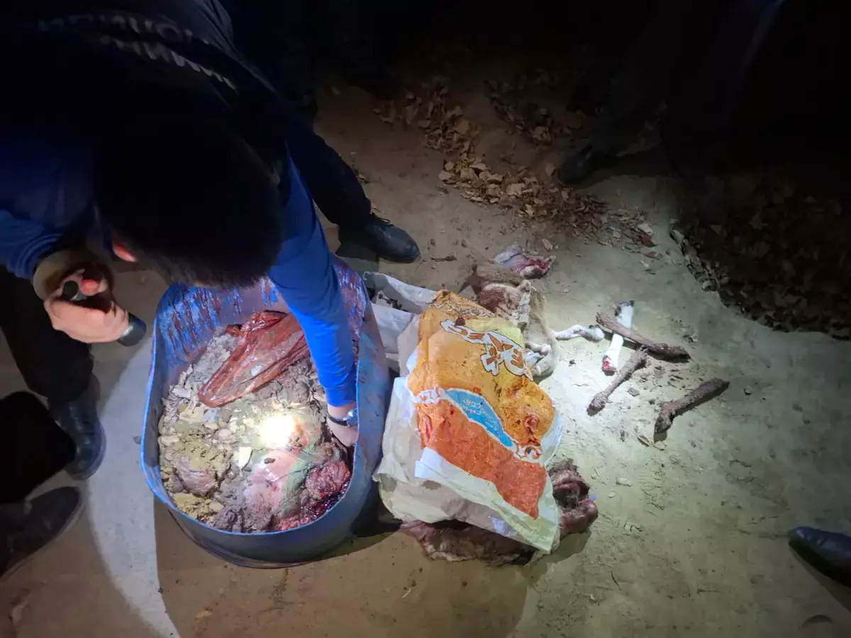 Жителя Каракиянского района задержали по подозрению в браконьерстве - новости на Lada.kz 18.11.2025