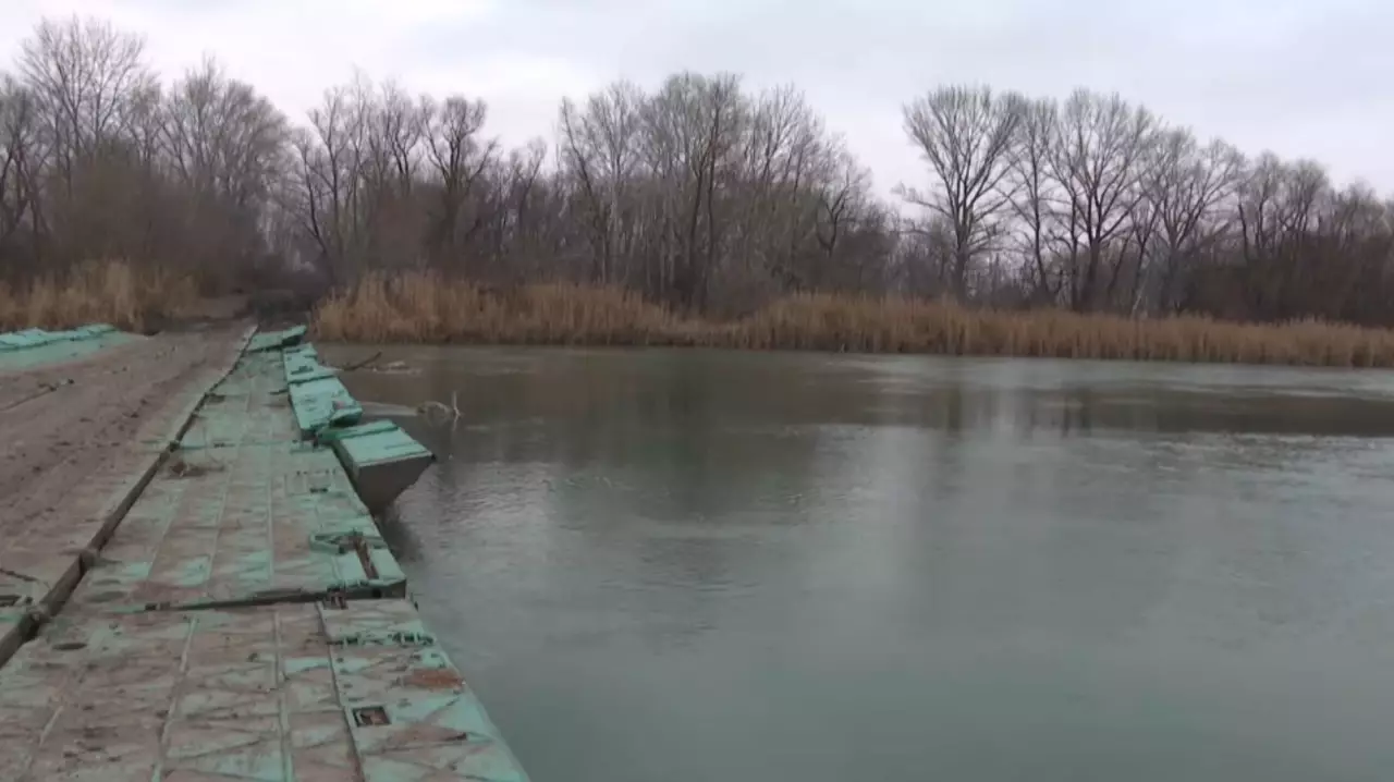 Павлодар облысында жабайы аң көбейді