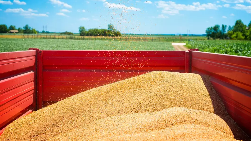 Армения Қазақстан бидайының сапасына таңданыс білдірді