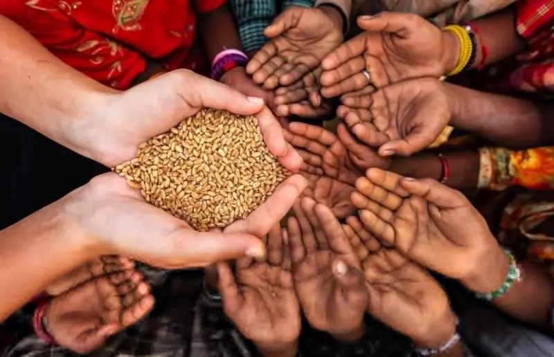 ООН предупредила о росте мирового голода и нехватке ресурсов