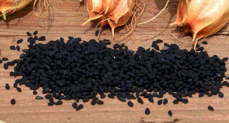 Учёные обнаружили эффективное средство против ожирения