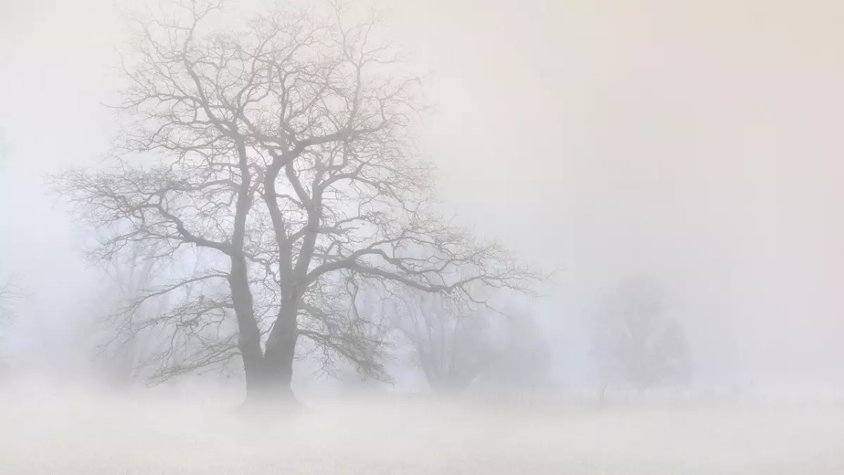 Тұман, көктайғақ: 14 облыста дауылды ескерту жарияланды