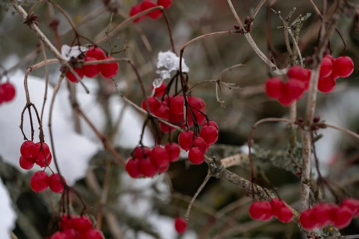 Дождь и снег ожидаются в Казахстане 19 ноября