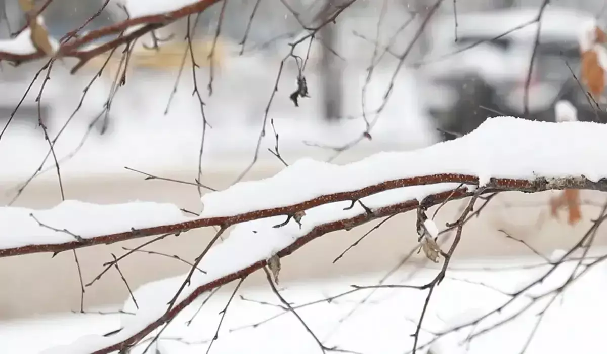Елімізде 19 қарашада ауа райы қандай болады