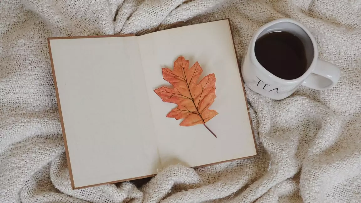 Қостанай облысында «Кітап оқитын ұлт» жобасына 55 мыңнан астам адам қатысуда