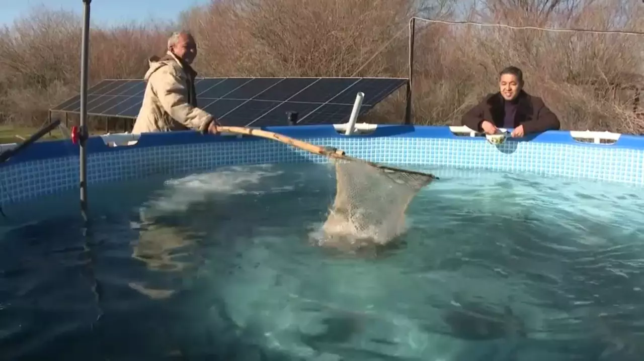 Жетісу облысында балық шаруашылығы дамып келеді