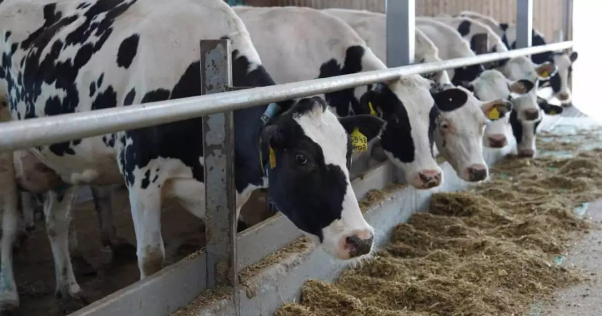  Қазақстанның ауыл шаруашылығы өнімдері 15-тен аса елге экспортталады 