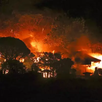 170 домов сгорело из-за крупного пожара в Японии