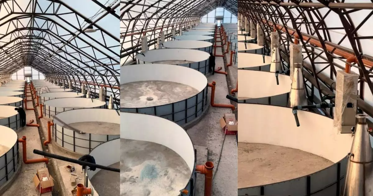  Шығыс Қазақстанда 348 млн теңгеге балық өсіру кешені салынады 