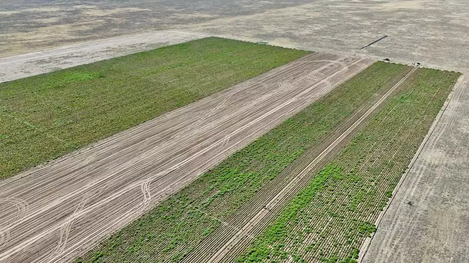 Алматы облысында тұрғындар 20 жыл бойы сатып алған жерлерін ала алмай жүр