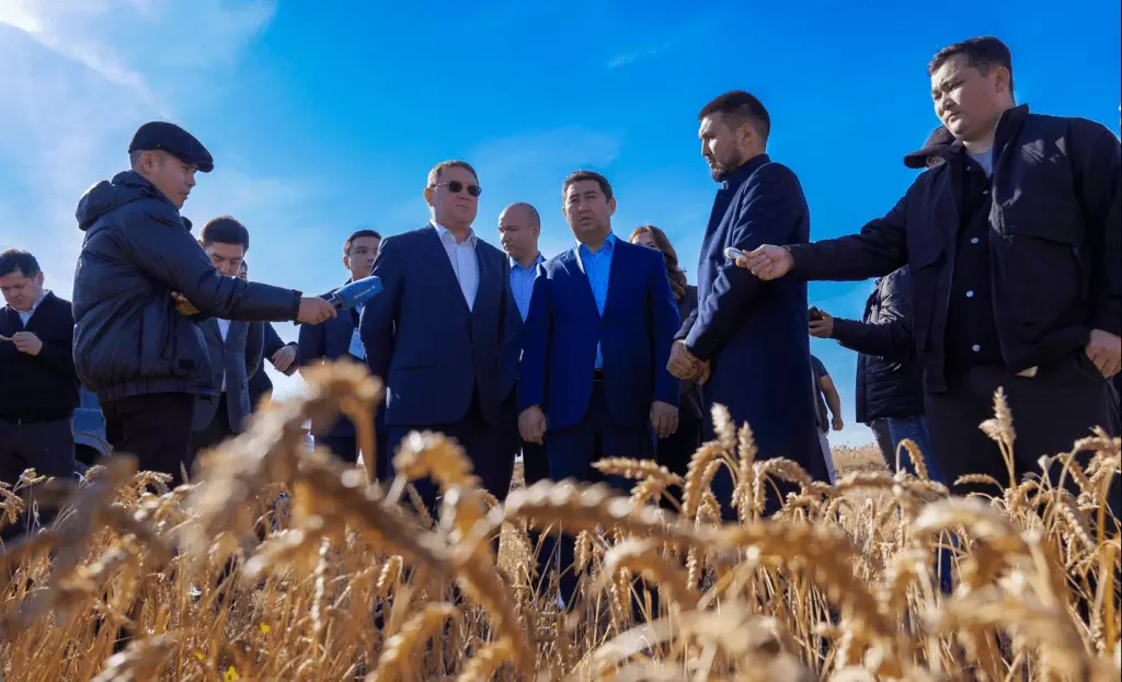 Казахстан установил новый рекорд по производству зерна.
