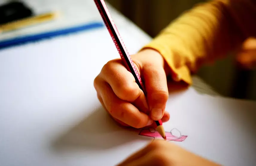 Бастауыш сыныптар қандай жағдайда қашықтан оқиды? Министр жауап берді