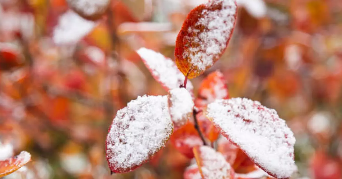   Алдағы күндері Қазақстанда ауа райы қандай болады?   