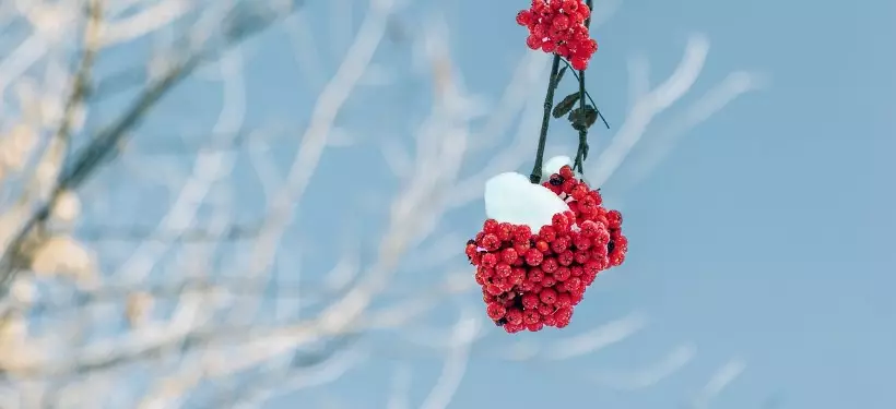 Осадки в виде дождя и снега с низовой метелью: о погоде по Казахстану в ближайшие три дня