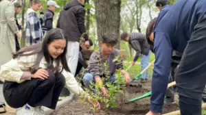 Алатау ауданында қатарынан бірнеше сенбілік болып өтті