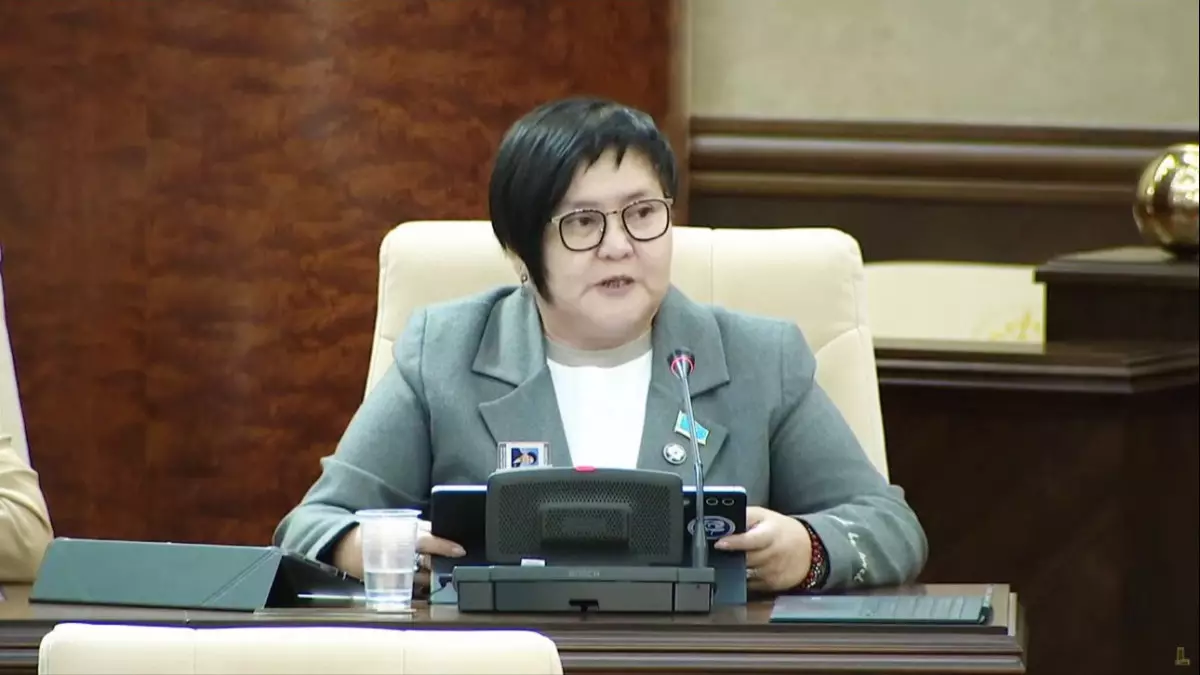 Жалақы және жұмыс: Депутат әйелдерге ұнайтын ұсыныс жасады