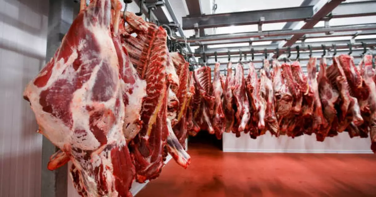  Астанада заңсыз ет сатқандар ұсталды 