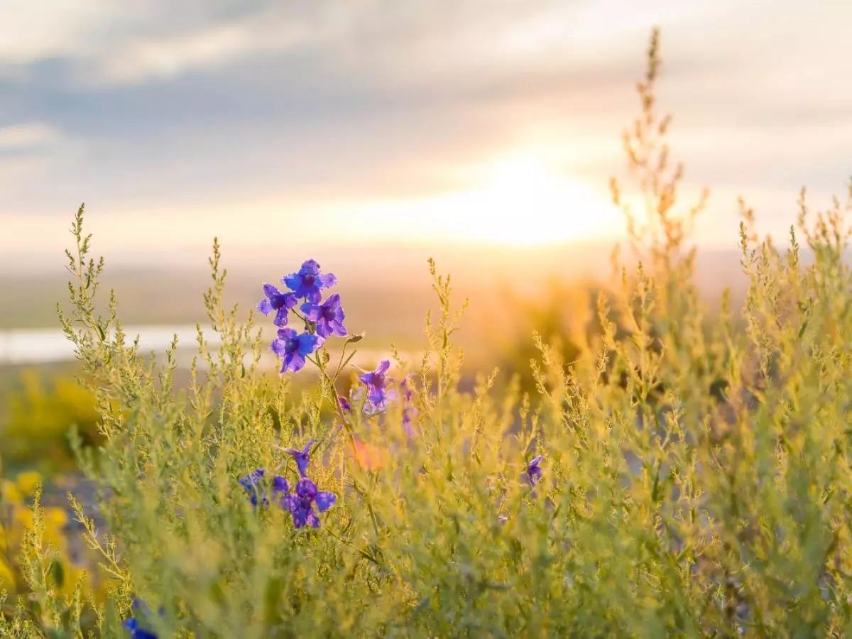 Сломали стереотипы: найдено поселение бронзового века в Казахстане.