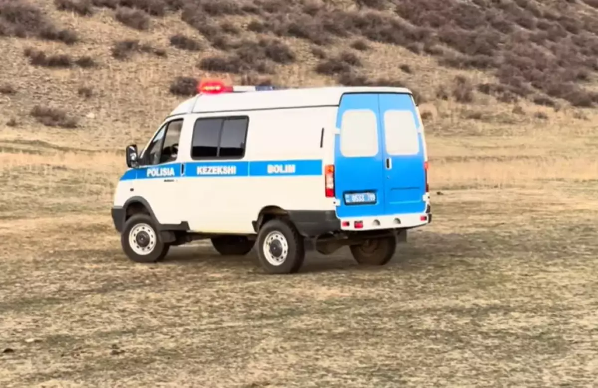Двое суток поиска: подростки сели на лошадь и пропали в области Жетысу (видео)