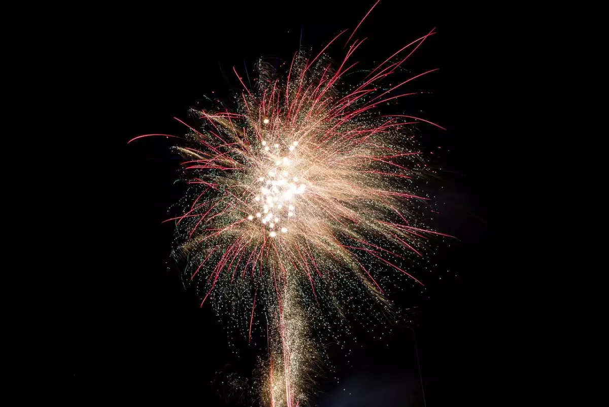 Ночная шалость с фейерверками чуть не обернулась пожаром в Шымкенте