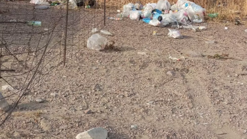 Горы мусора на популярном водоёме возмутили казахстанку