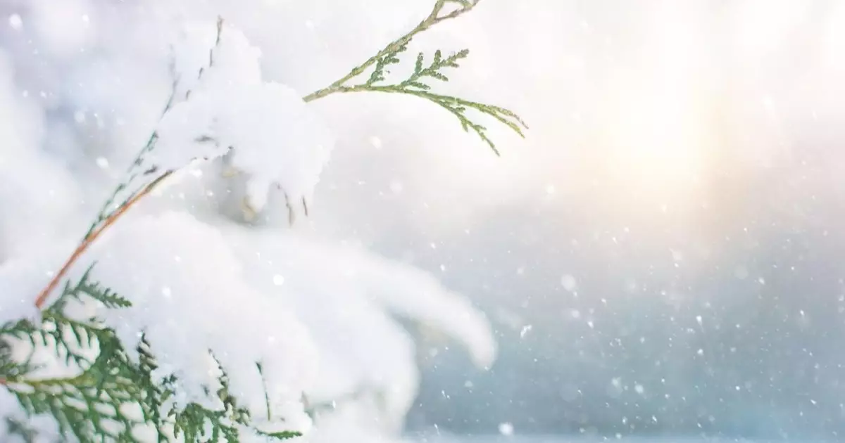  20 қарашада ауа райы қандай болатыны белгілі болды 