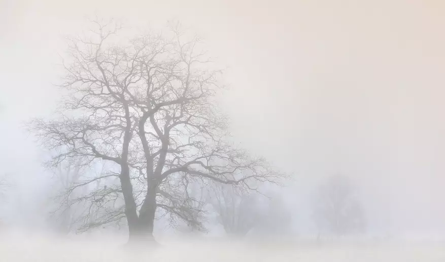 Туманы ожидаются в четверг в ряде регионов Казахстана