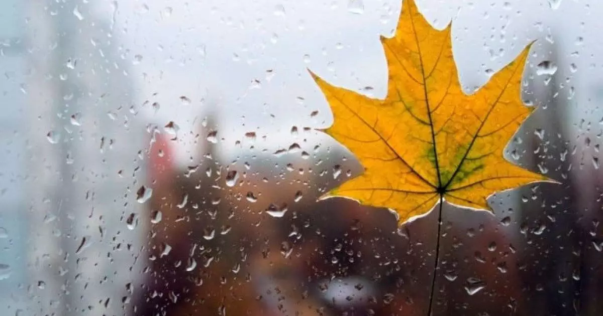  Ертең еліміздің басым бөлігінде жел күшейіп, кей өңірде бұрқасын болады 