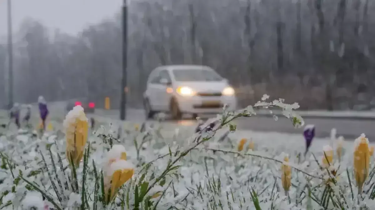 Тұман түседі, бұрқасын соғады: 20 қарашада он бес өңірде дабылды ескерту жарияланды
