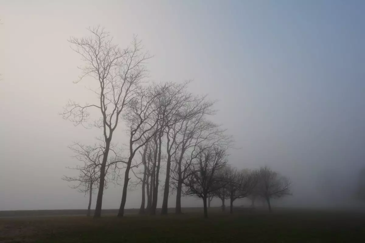 Погода на 20 ноября: туман, осадки и потепление на западе Казахстана