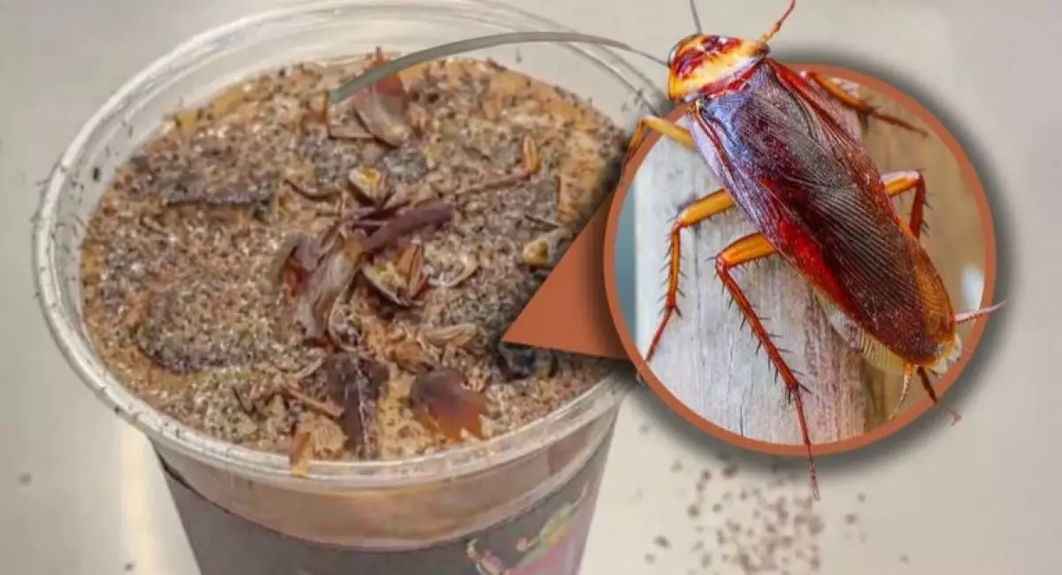 Китайские бариста создали новый хоррор-напиток