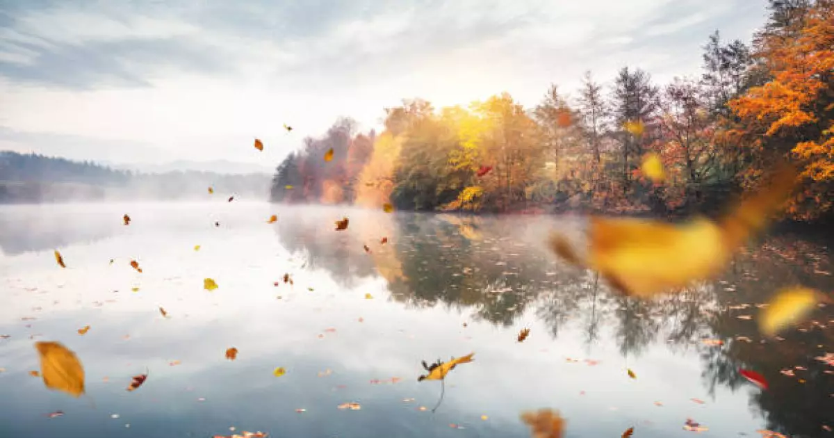   Бүгін елдің көптеген өңірінде тұман күтіледі   