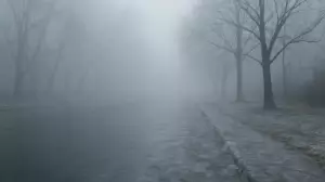 Тұман және көктайғақ: 20 қарашаның ауа райы болжамы