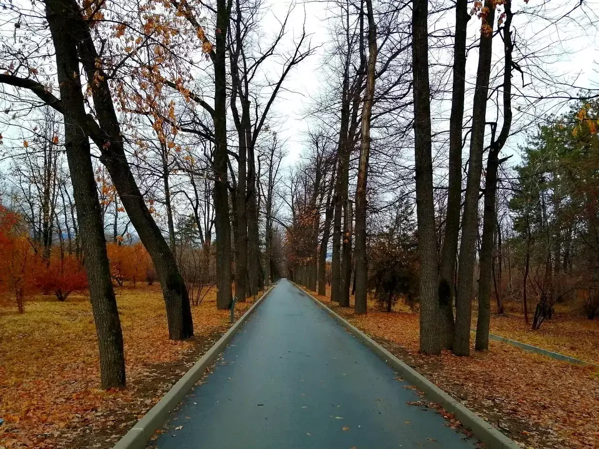 Алматыда 24-30 қараша аралығында ауа райы қандай болады