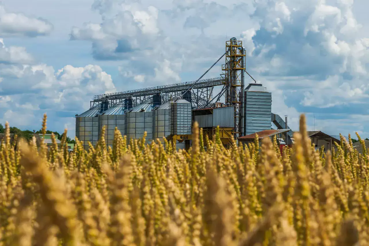 Солтүстік Қазақстанда 34 жастағы жұмысшы элеватор ішіне құлап, астық астында тұншығып қайтыс болды