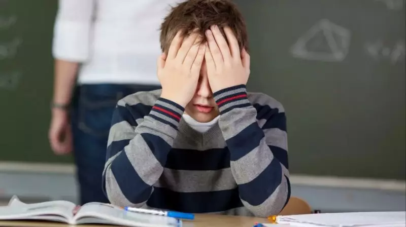 Вместо школы - покосившийся дом: как учатся дети в Жамбылской области