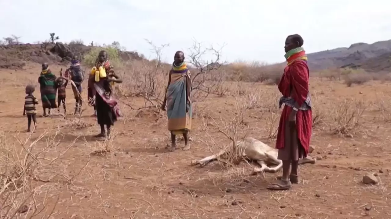 Глобальные изменения климата ставят под угрозу миллионы людей