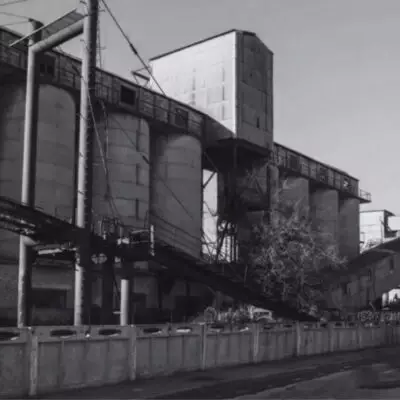 Работница элеватора упала в зернохранилище в СКО