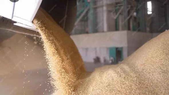 «Бидай басып қалған»: СҚО-да астақ қоймасына құлаған келіншек көз жұмды